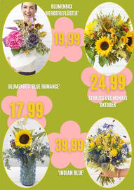 Blumen Risse Prospekt Seite 3