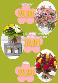 Blumen Risse Prospekt Seite 4