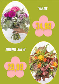 Blumen Risse Prospekt Seite 5