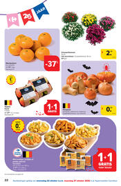 Carrefour folder Pagina 22