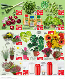 Kaufland Prospekt Seite 9