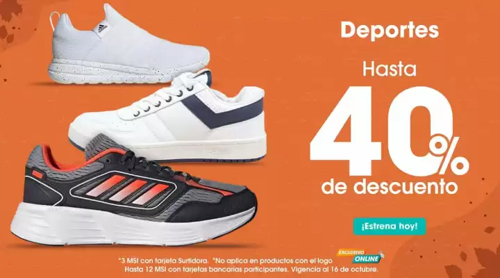 Catálogo Surtidora Departamental (válido hasta 16-10)