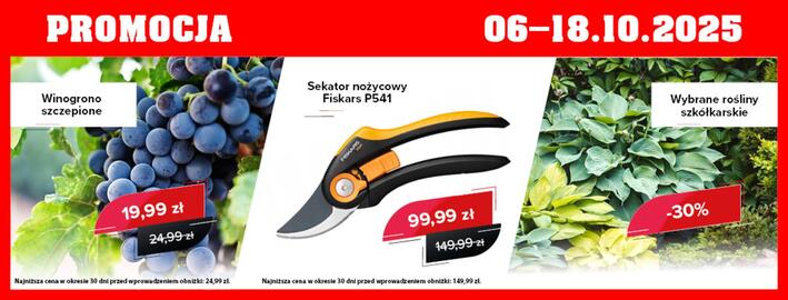 Szarotka gazetka Strona 1