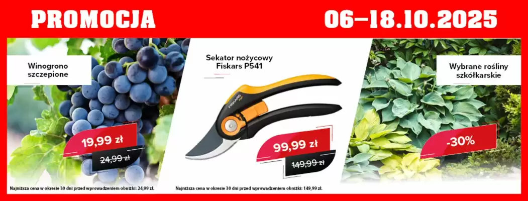 Szarotka gazetka (ważność do 18-10)
