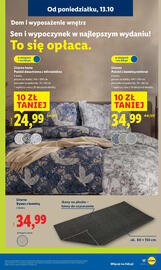 Lidl gazetka tydzień 42 Strona 17
