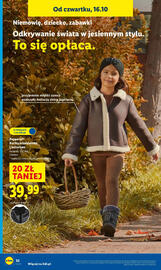 Lidl gazetka tydzień 42 Strona 36