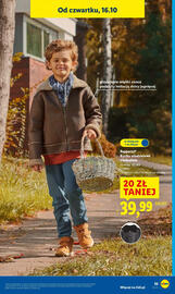 Lidl gazetka tydzień 42 Strona 37