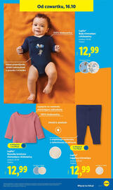 Lidl gazetka tydzień 42 Strona 43