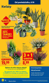 Lidl gazetka Strona 66