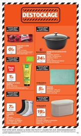 Catalogue Netto semaine 42 page 15
