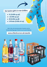 Romina Silberbrunnen Seite 3