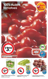 Coles catalogue week 41 Page 16
