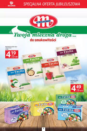 Selgros gazetka Strona 3