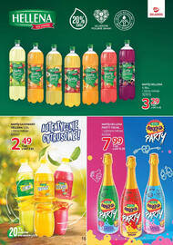 Selgros gazetka Strona 16