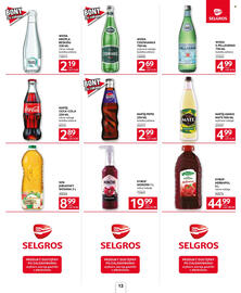 Selgros gazetka Strona 13