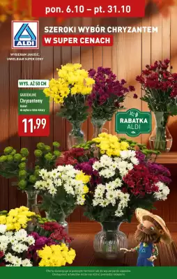 ALDI gazetka (ważność do 31-10)