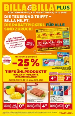 Billa Flugblatt (gültig bis 15-10)