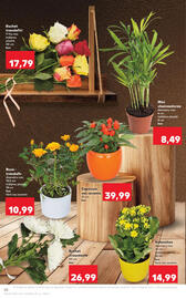 Catalog Kaufland săptămâna 41 Pagină 20
