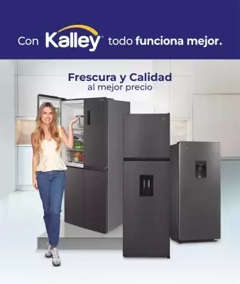 Catálogo Kalley (válido hasta 31-10)