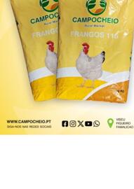 Folheto CAMPOCHEIO Página 1