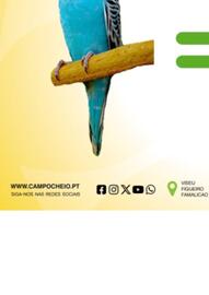 Folheto CAMPOCHEIO Página 10