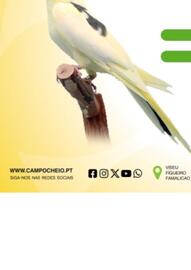 Folheto CAMPOCHEIO Página 11