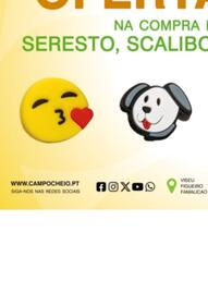 Folheto CAMPOCHEIO Página 12