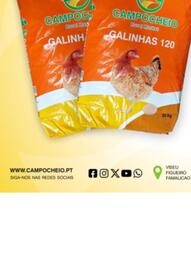 Folheto CAMPOCHEIO Página 2