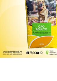 Folheto CAMPOCHEIO Página 7