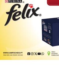 Folheto CAMPOCHEIO Página 8
