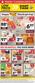 Giant Tiger flyer week 41 Page 1
