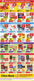 Giant Tiger flyer week 41 Page 2