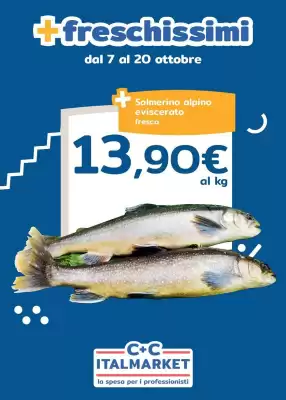 Volantino C+C Italmarket (valido fino al 20-10)
