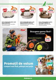 Magazine Animax Pagină 11