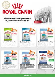 Magazine Animax Pagină 8