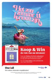 Hyper Carrefour folder Pagina 43