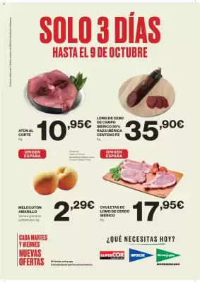 Catálogo Supercor (válido hasta el 9-10)