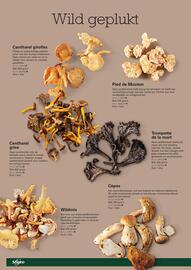Sligro folder | Non-Food Pagina 36