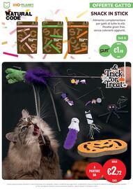 Volantino ZooPlanet Pagina 12