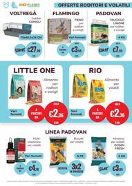 Volantino ZooPlanet Pagina 16