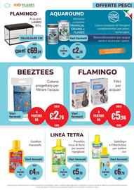 Volantino ZooPlanet Pagina 17