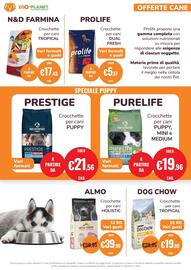 Volantino ZooPlanet Pagina 2