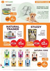 Volantino ZooPlanet Pagina 3