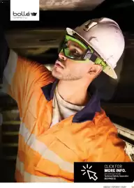 Blackwoods catalogue Page 19