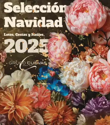 Folleto Plenus Supermercados (válido hasta el 31-12)