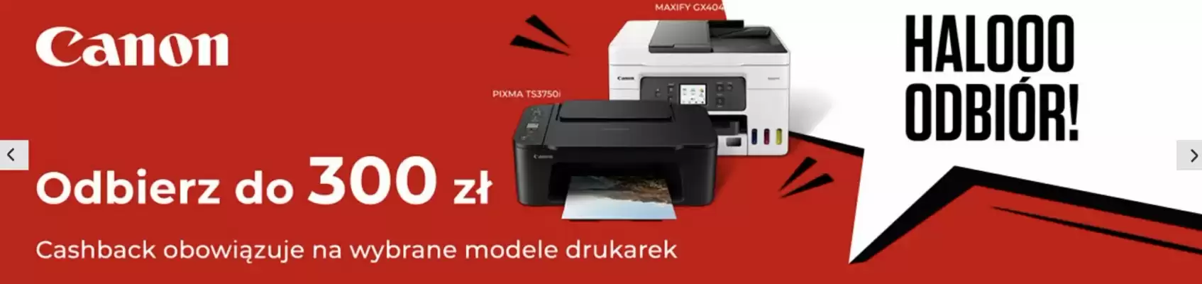Alsen gazetka (ważność do 19-10)