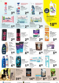 CITTI Markt Prospekt woche 41 Seite 15