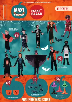 Catalogue Maxi Bazar (valable jusqu'au 2-11)