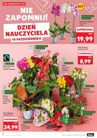 Kaufland gazetka tydzień 41 Strona 20