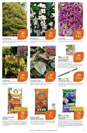 Catalogue Point Vert semaine 41 page 5